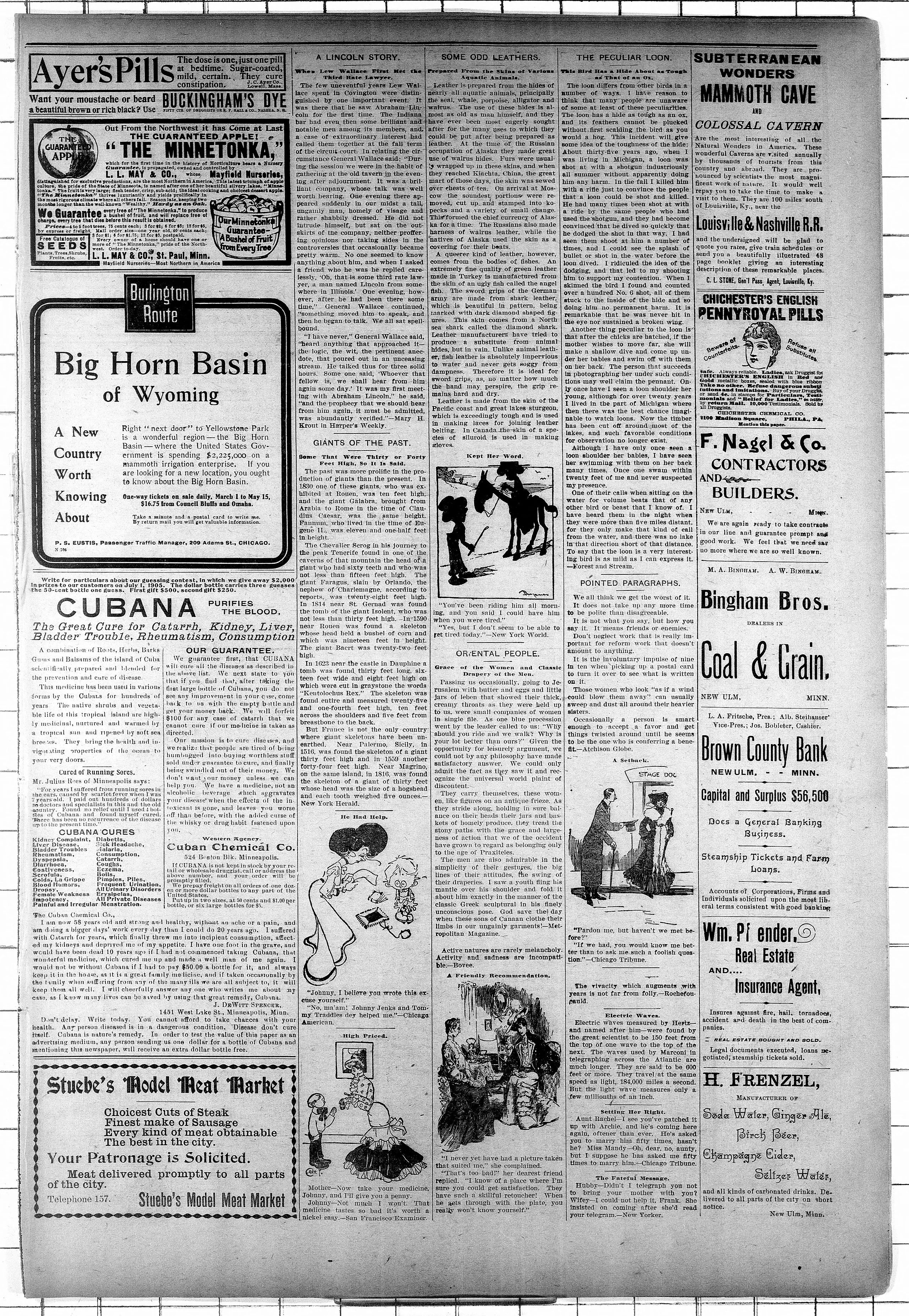 Image 7 of New Ulm review (New Ulm, Brown County, Minn.), April 12, 1905