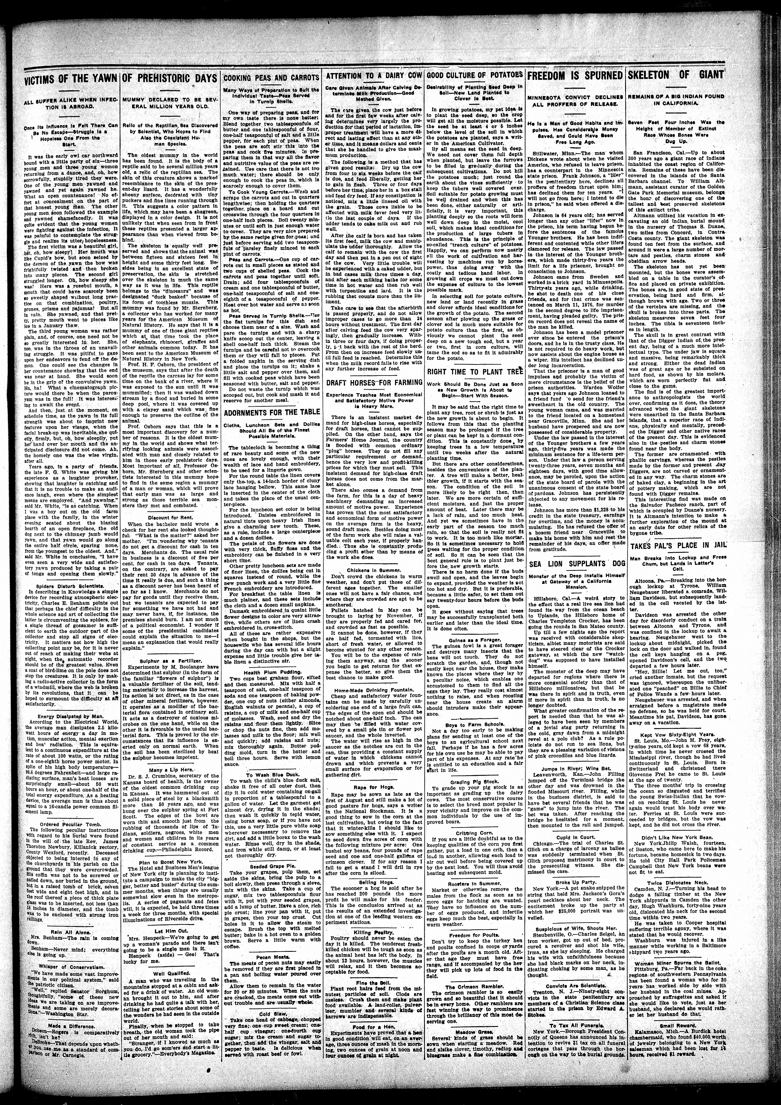 Image 3 of Iowa state bystander (Des Moines, Iowa), August 9, 1912
