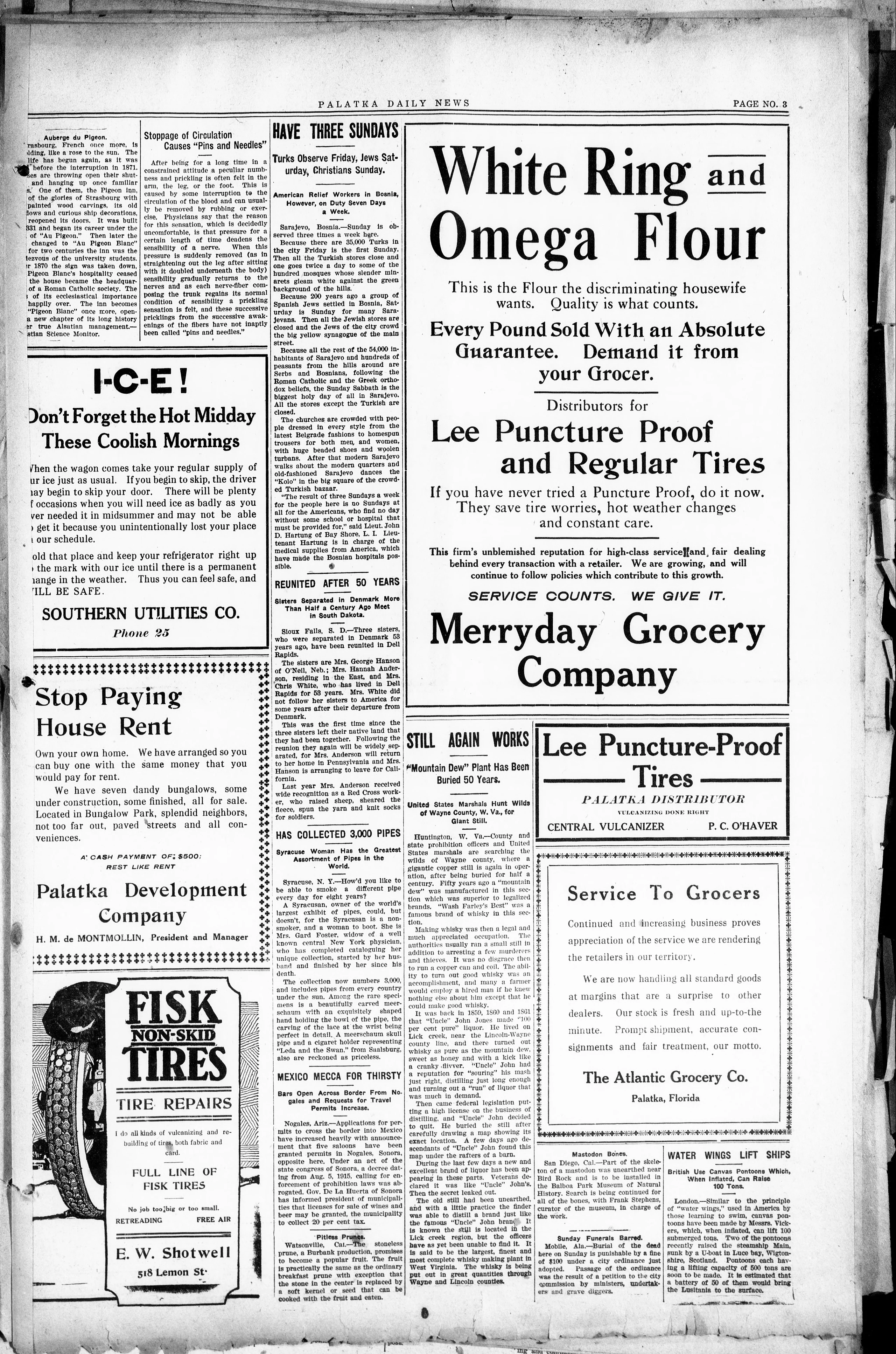 Image 3 of Palatka daily news (Palatka, Fla.), December 2, 1919