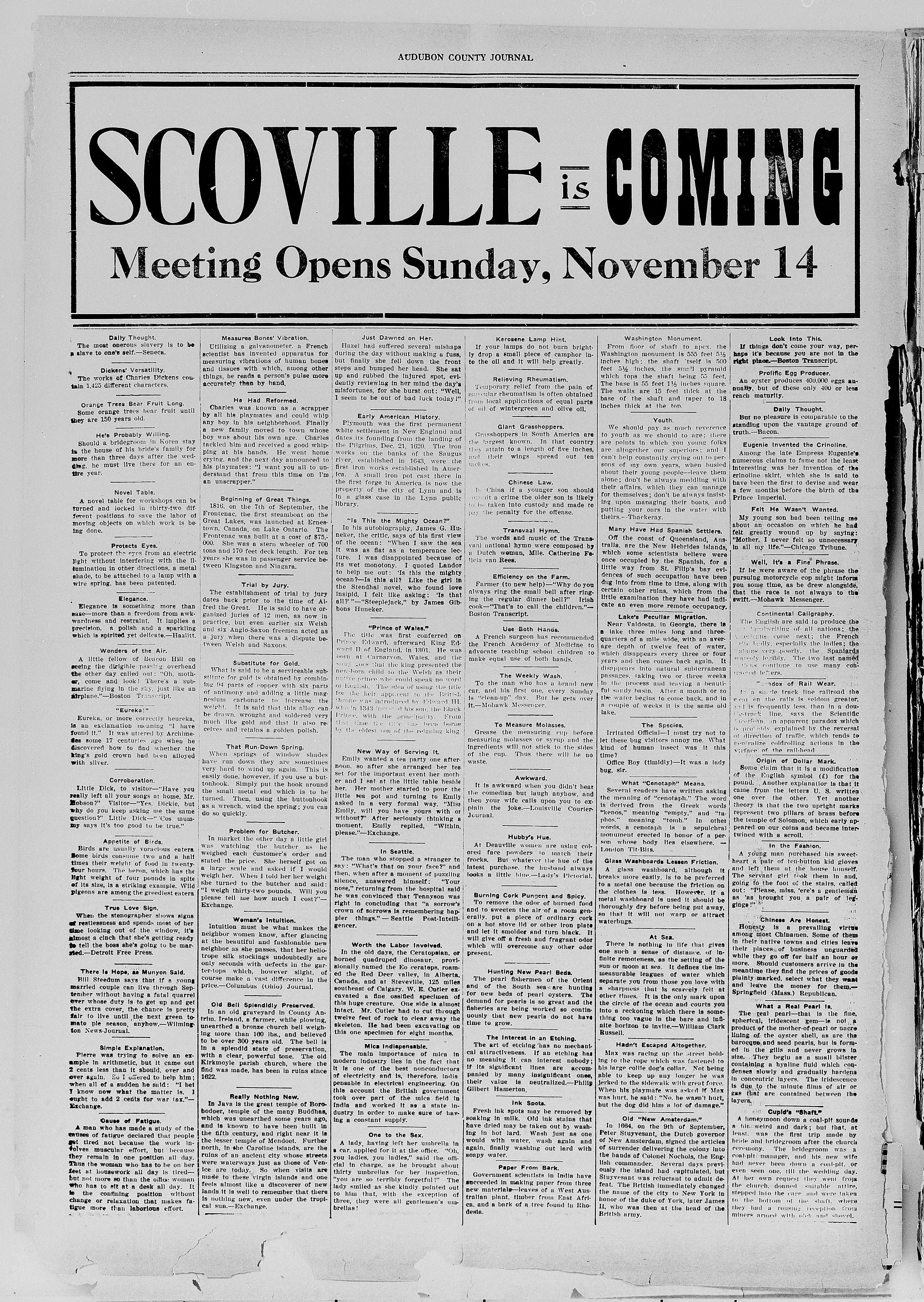 Image 4 of Audubon County journal (Exira, Iowa), November 4, 1920
