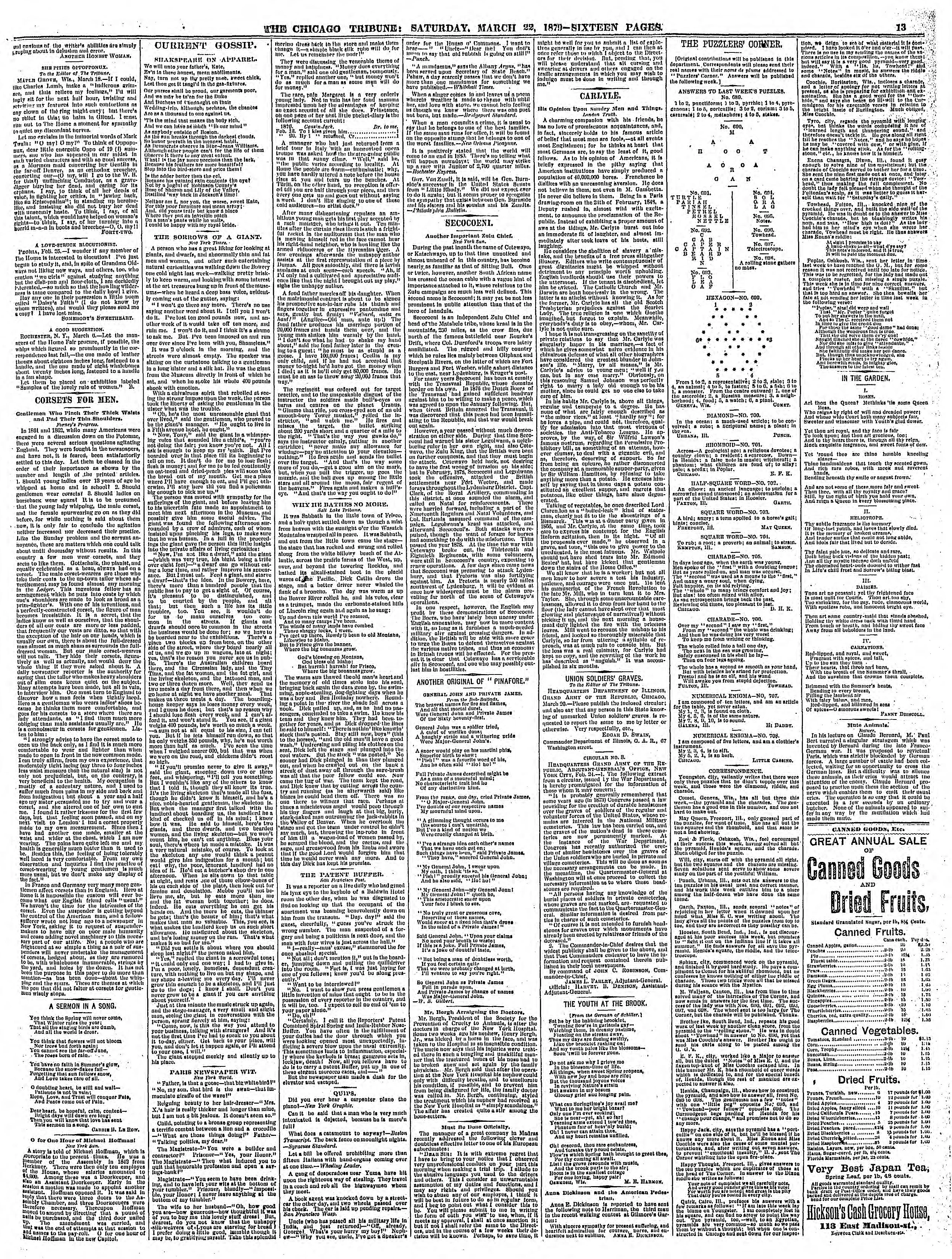Image 13 of Chicago daily tribune (Chicago, Ill.), March 22, 1879
