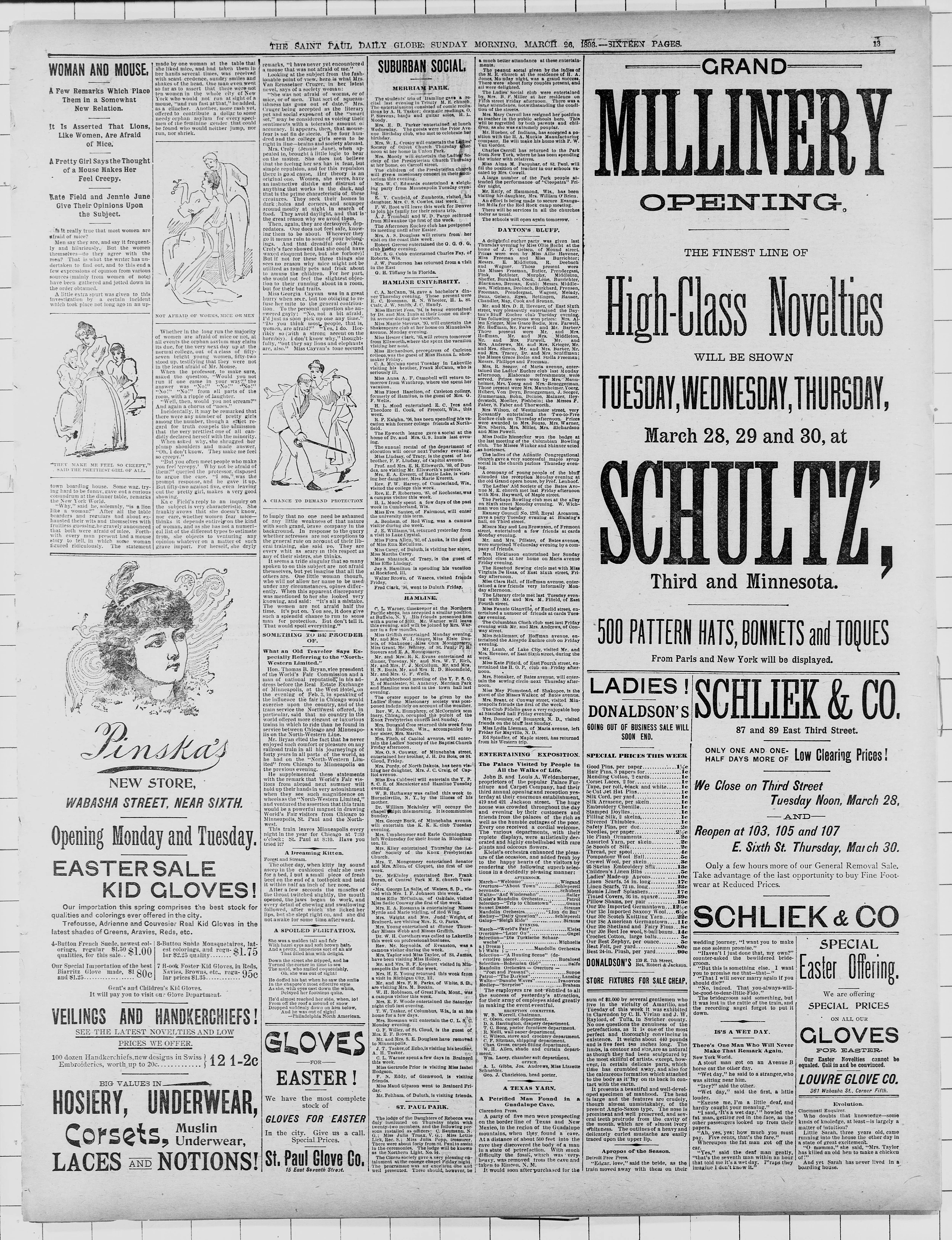 Image 13 of St. Paul daily globe (Saint Paul, Minn.), March 26, 1893