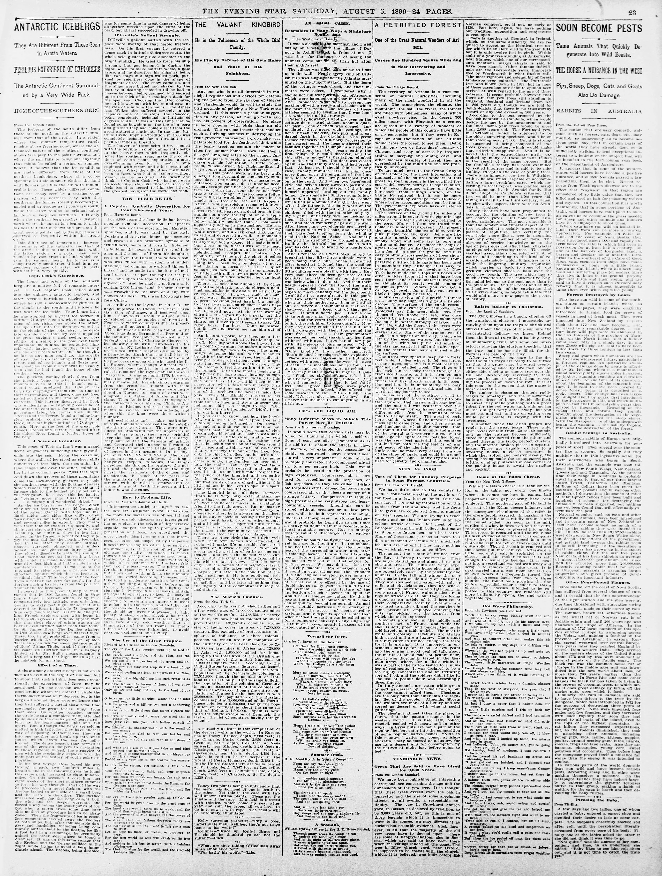 Image 24 of Evening star (Washington, D.C.), August 5, 1899