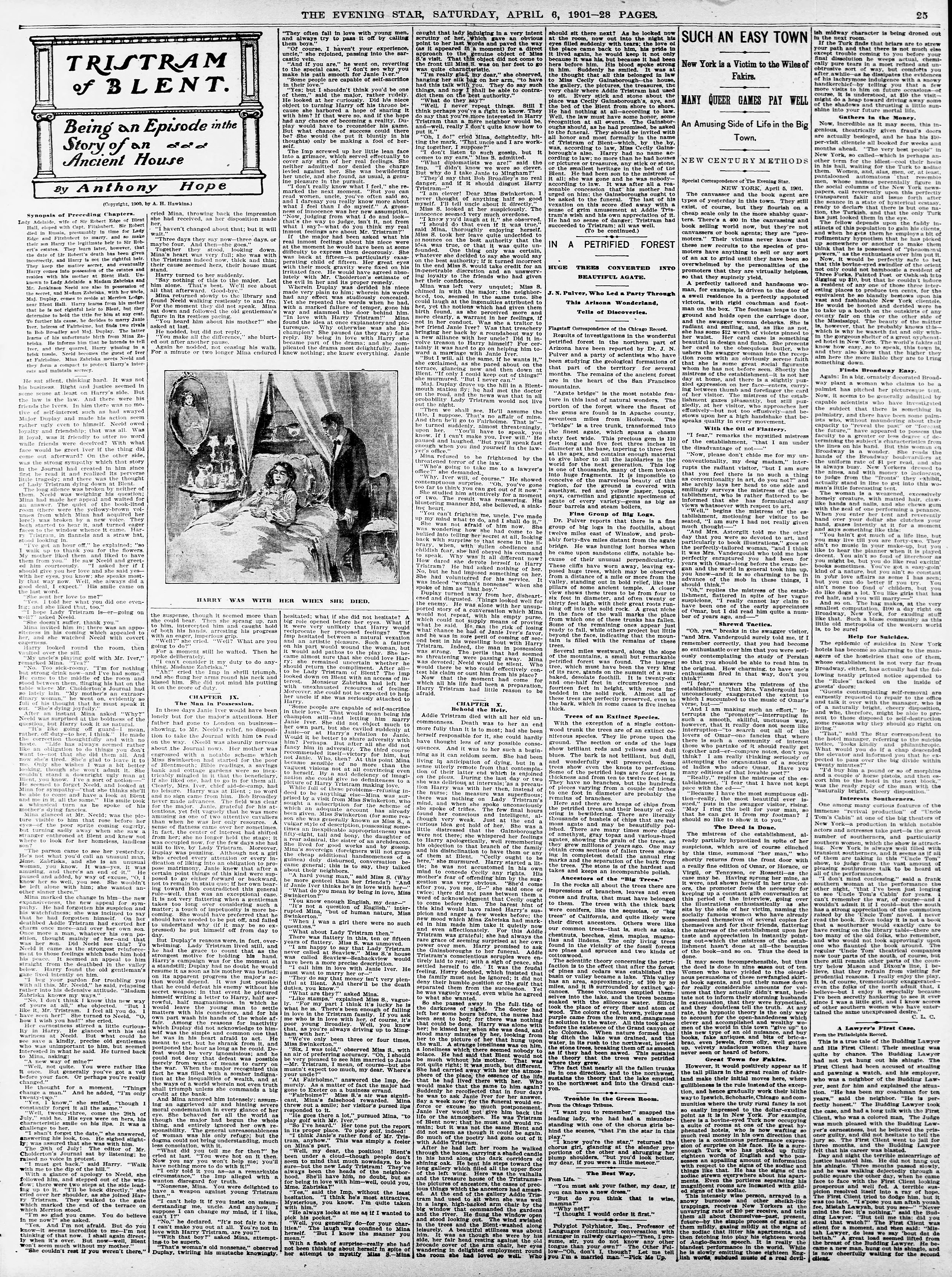 Image 25 of Evening star (Washington, D.C.), April 6, 1901