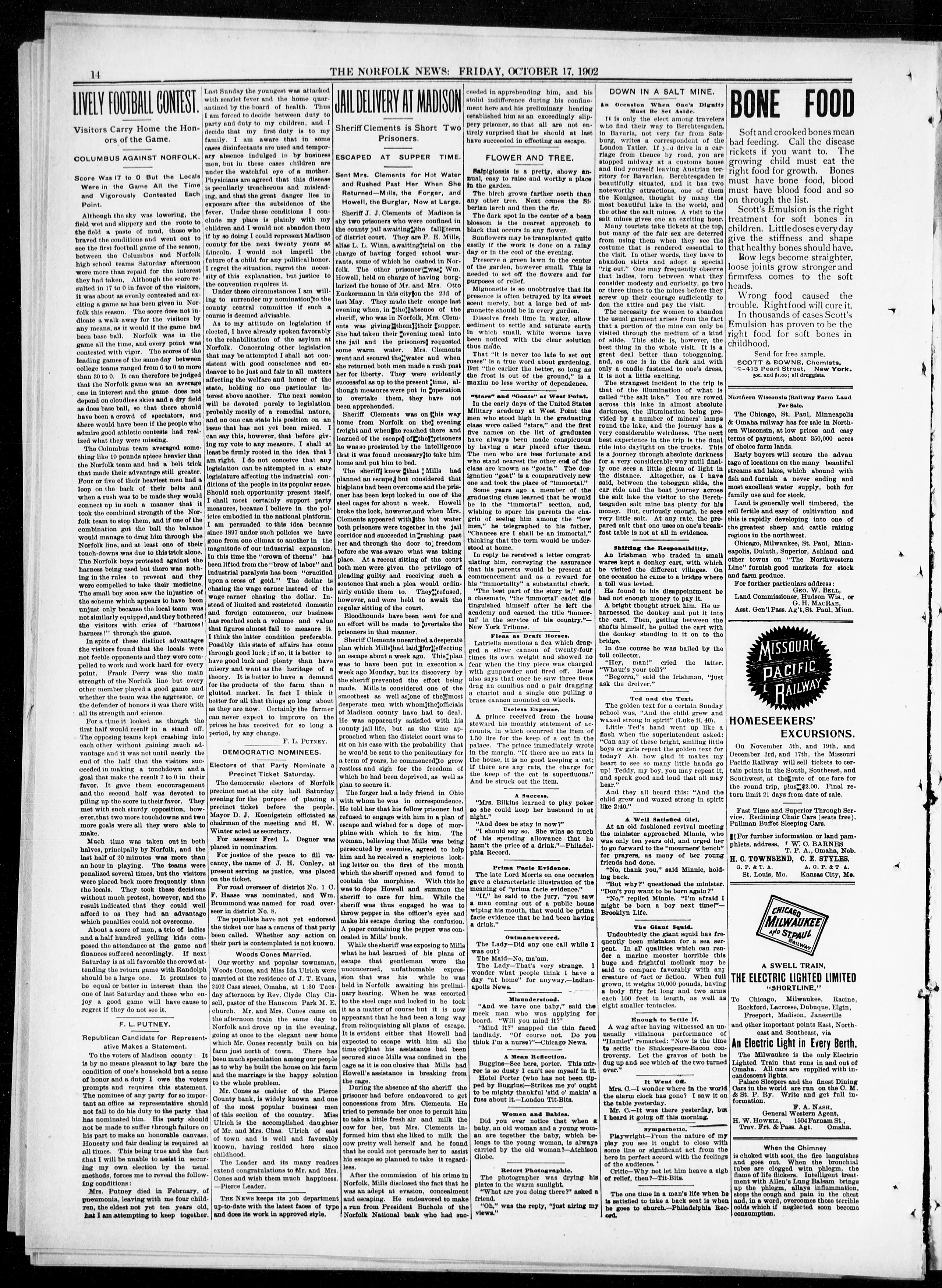 Image 14 of The Norfolk weekly news-journal (Norfolk, Neb.), October 17, 1902