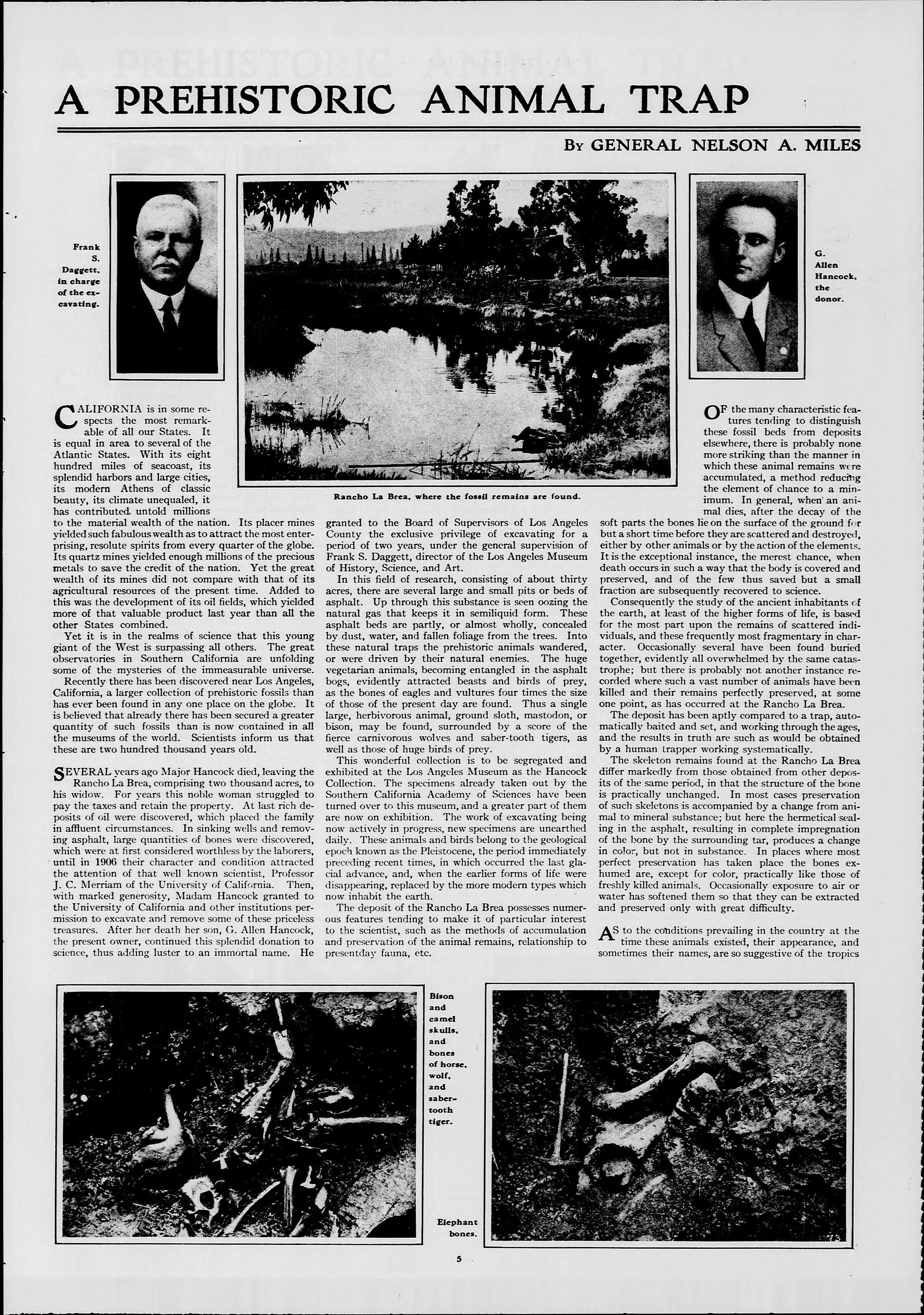 Image 25 of Evening star (Washington, D.C.), August 9, 1914