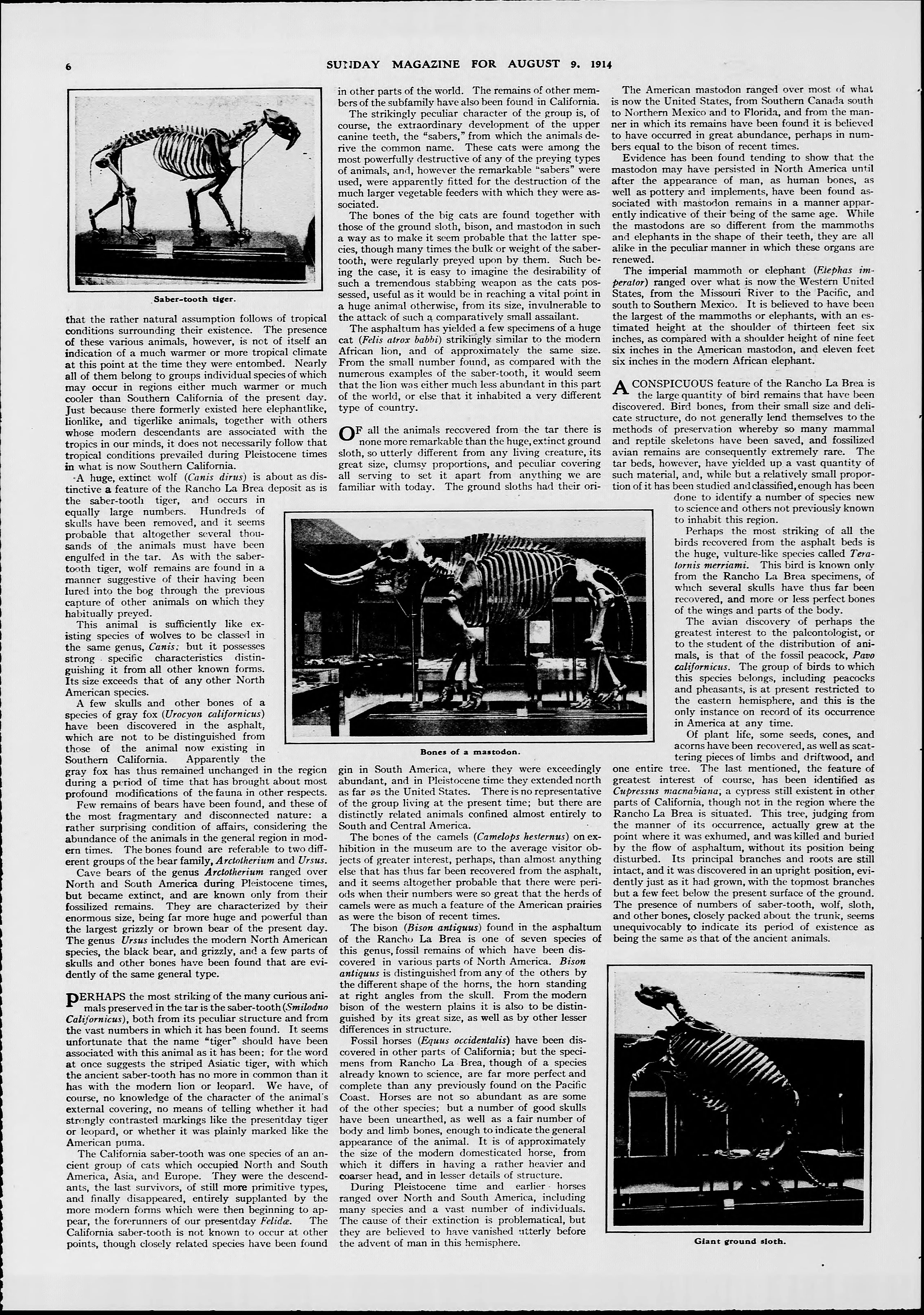 Image 26 of Evening star (Washington, D.C.), August 9, 1914