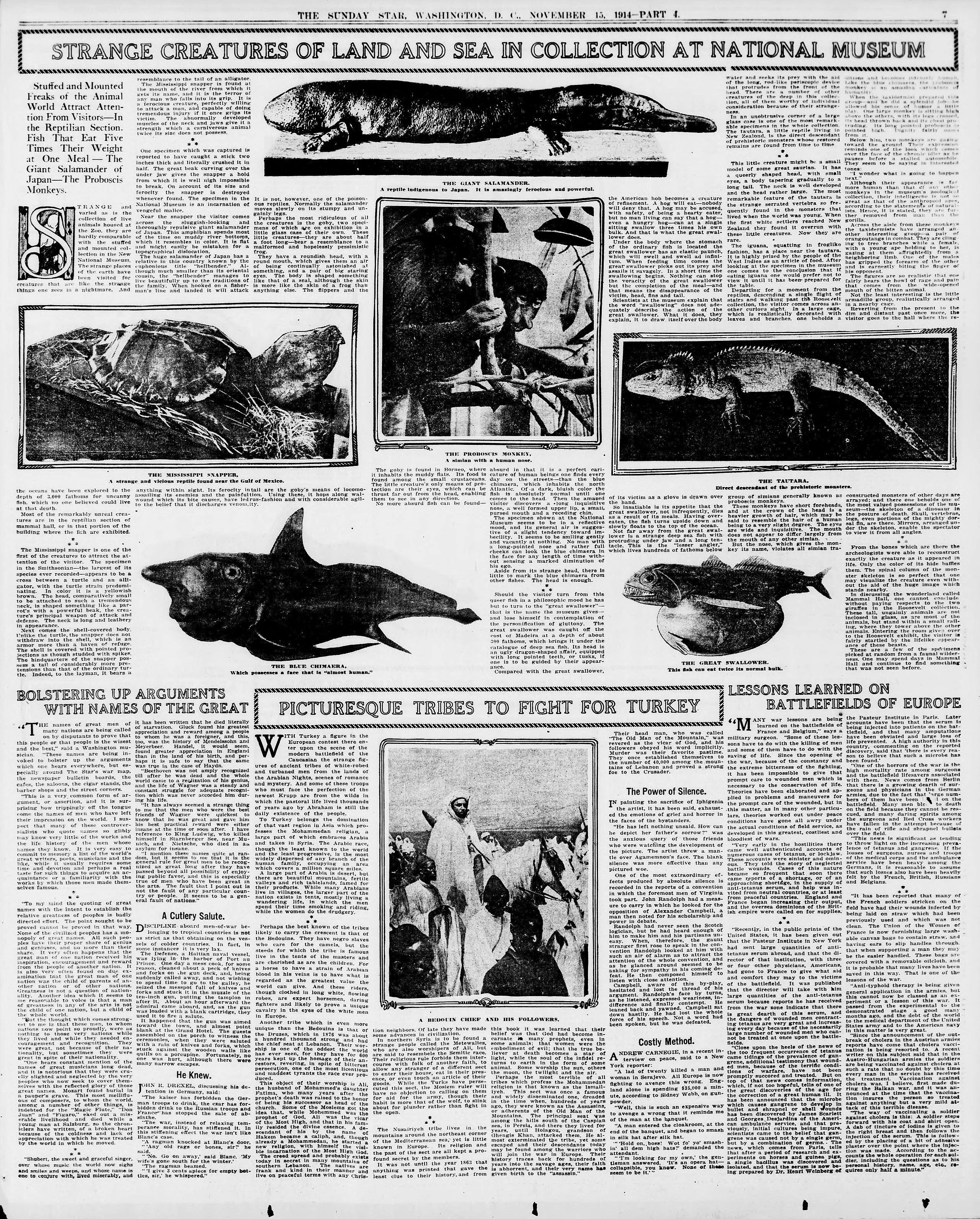 Image 61 of Evening star (Washington, D.C.), November 15, 1914