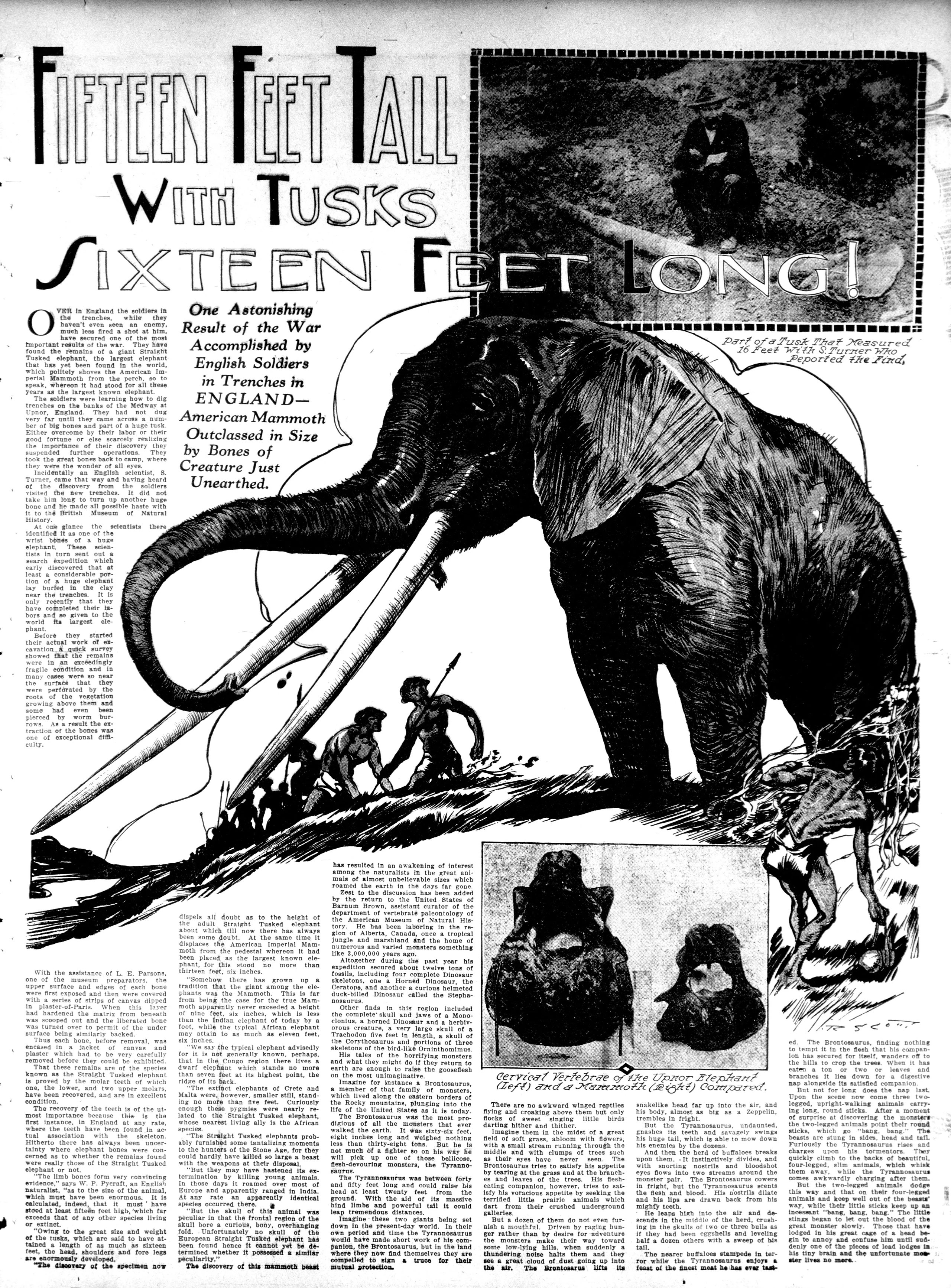 Image 29 of The Washington herald (Washington, D.C.), March 5, 1916