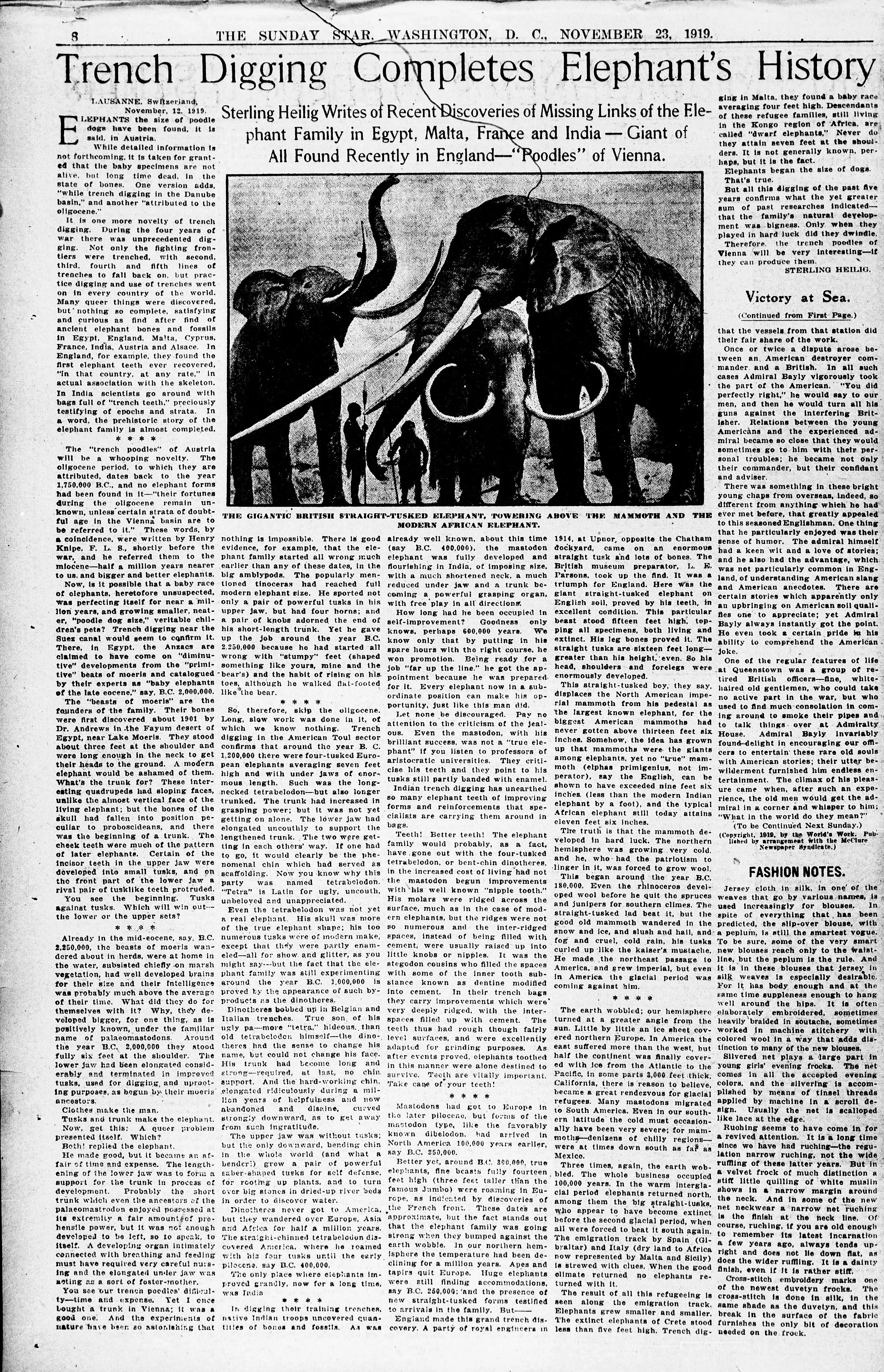 Image 76 of Evening star (Washington, D.C.), November 23, 1919