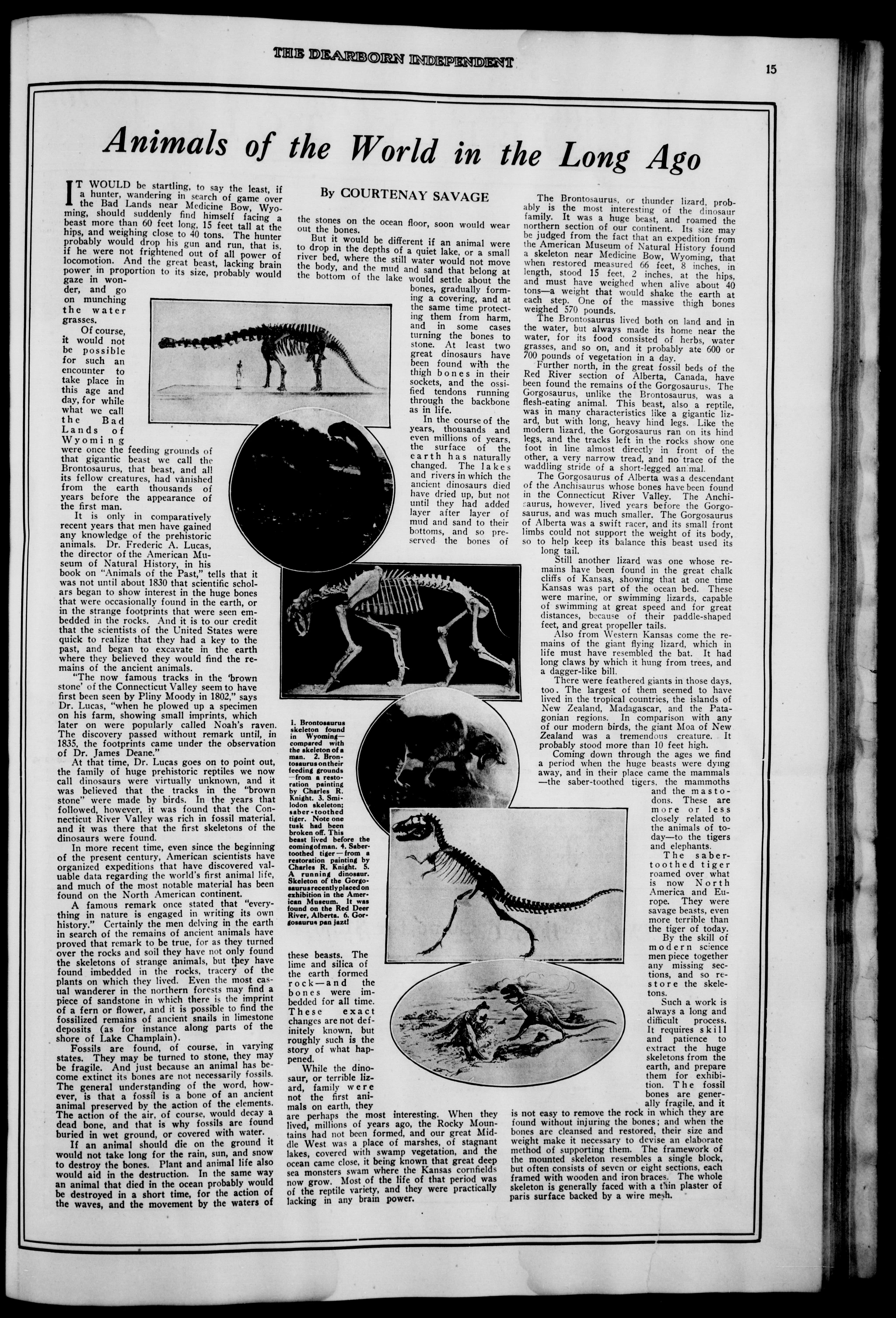 Image 15 of Dearborn independent (Dearborn, Mich.), September 17, 1921