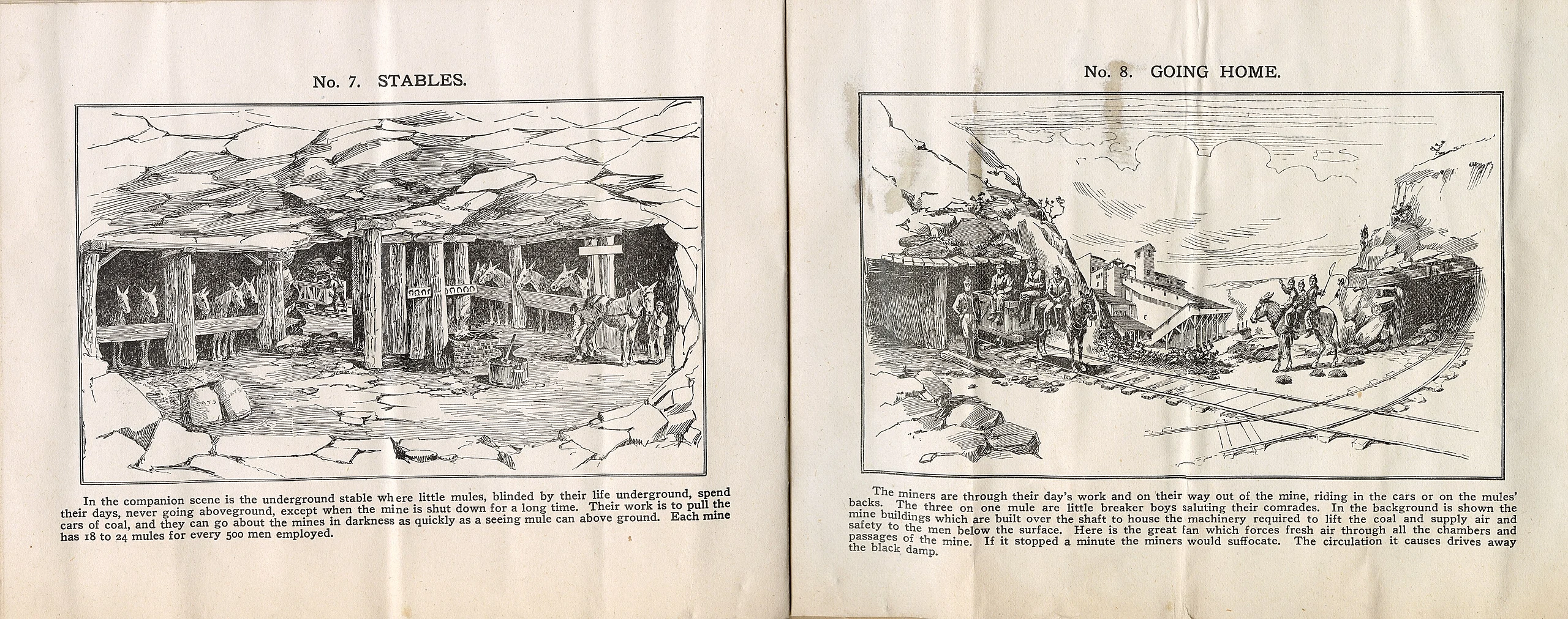 Brandenburger family World's Fair scrapbook, page 13, 1904 - DPLA - f85c0251f4c3f9a50d29bed529b0cd23 (page 6)
