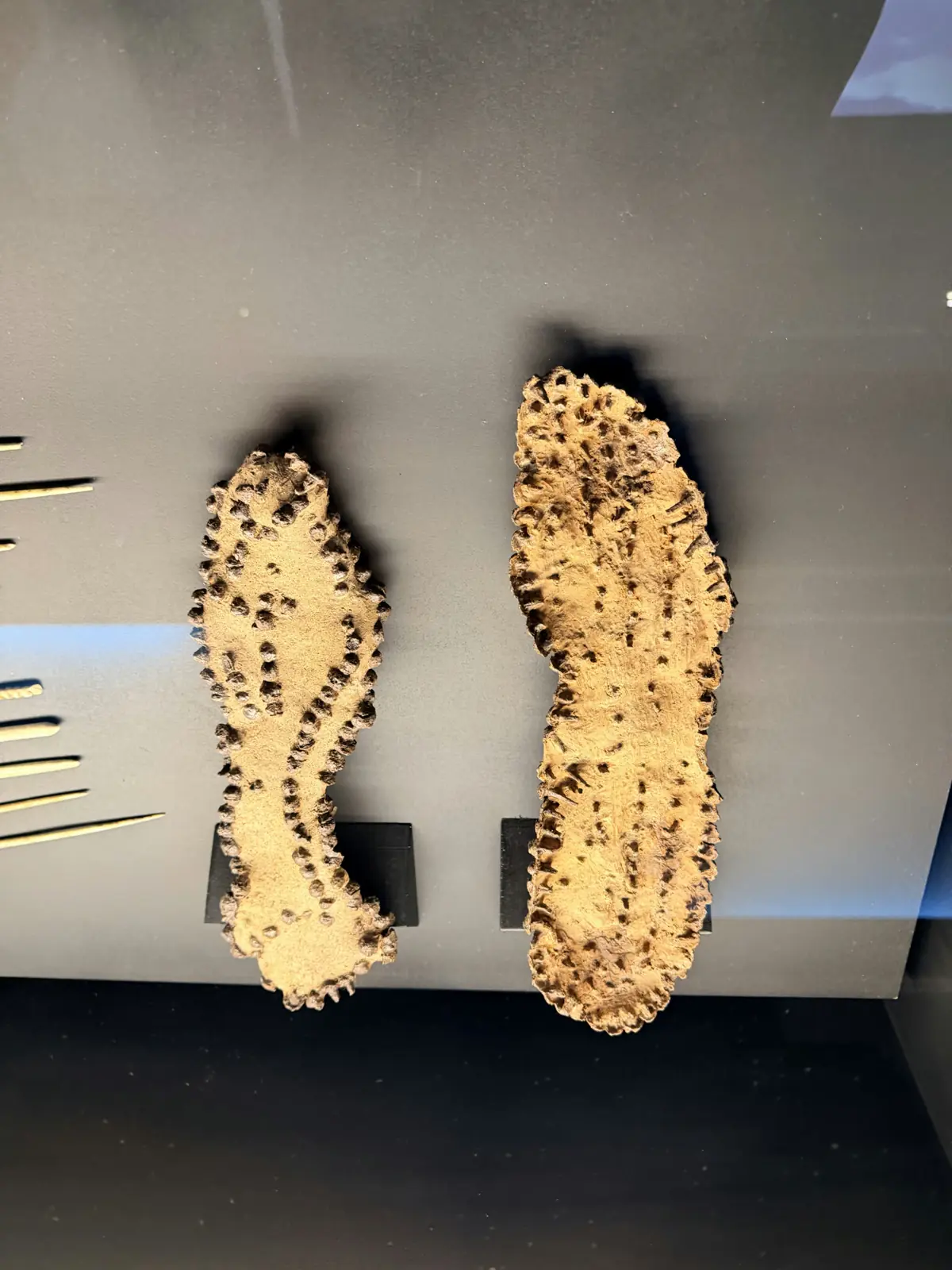 Hobnailed soles of Roman caligae marching boots in a museum case