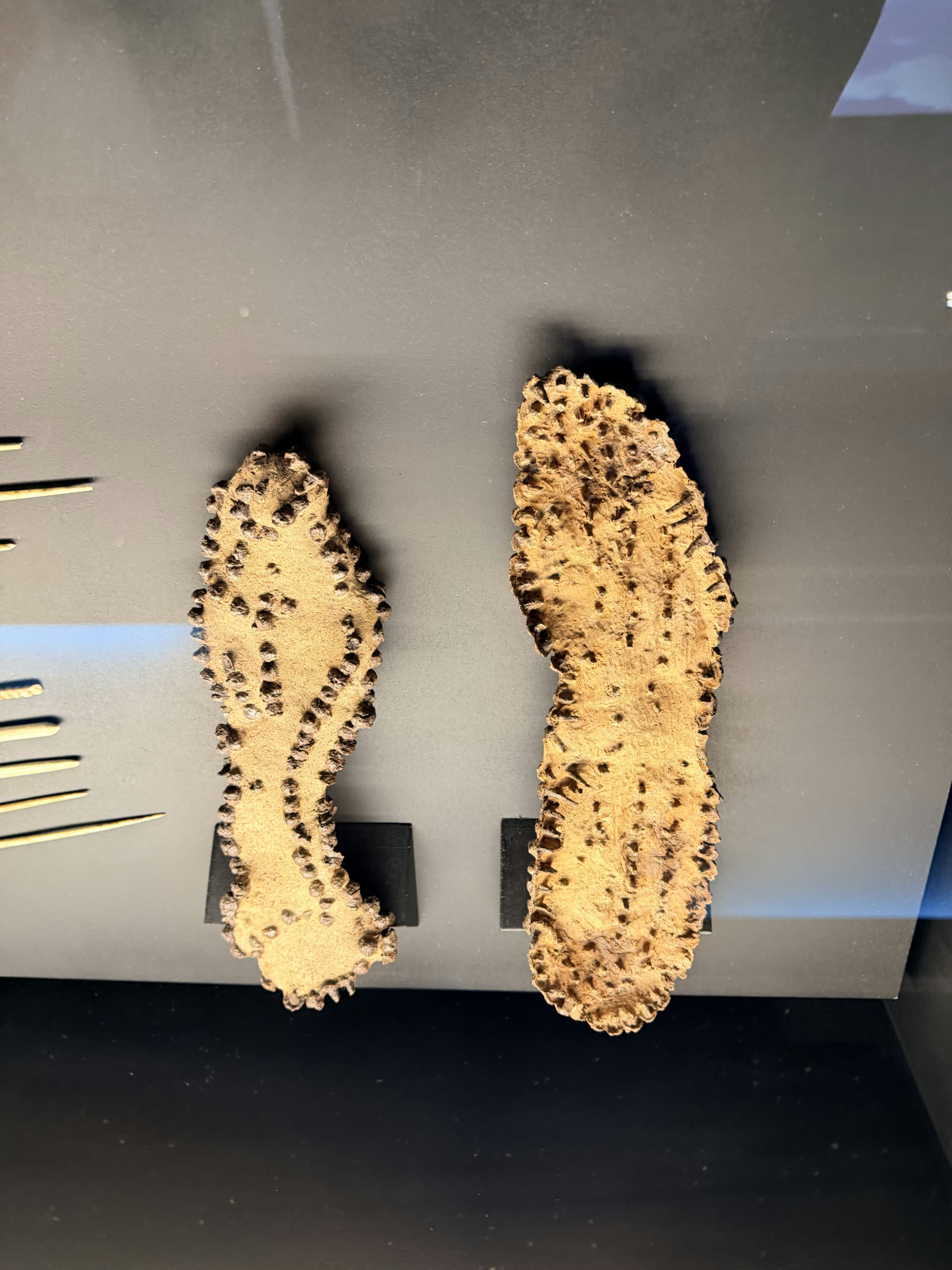 Hobnailed soles of Roman caligae marching boots in a museum case