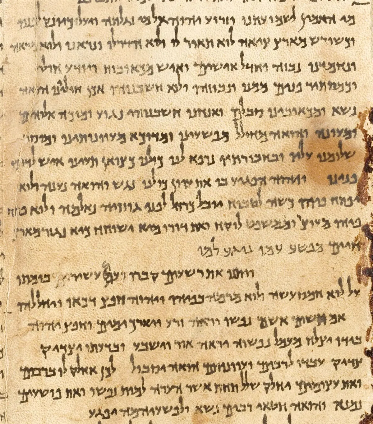 Column detail of the Great Isaiah Scroll, Hebrew script on parchment