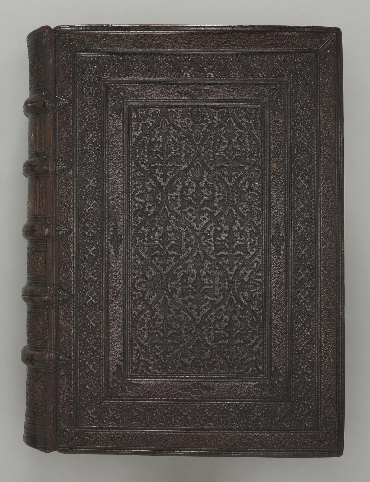 Gothic Bible (Vulgate)