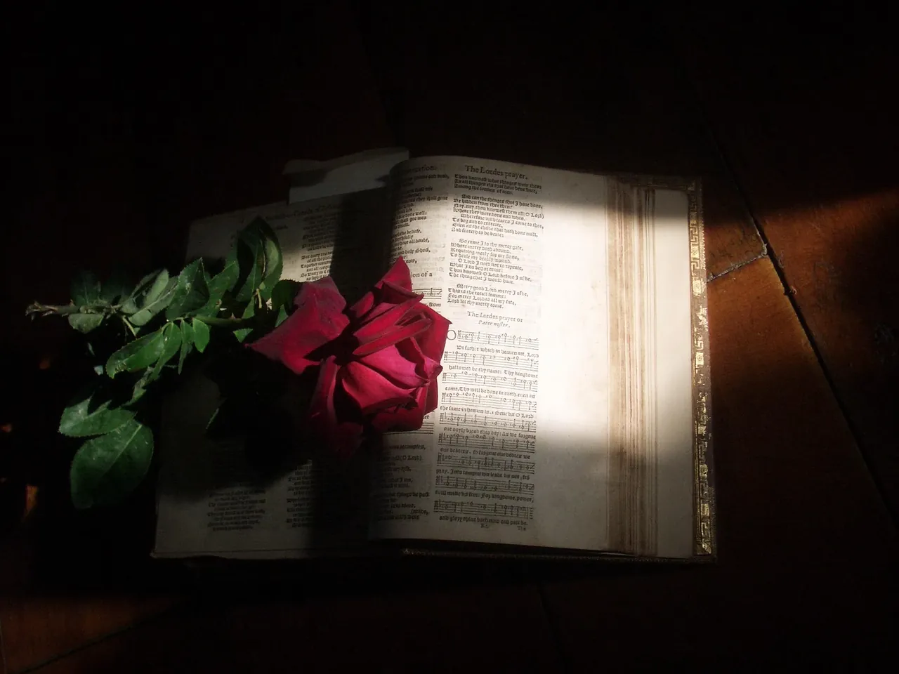 A psalter with a rose