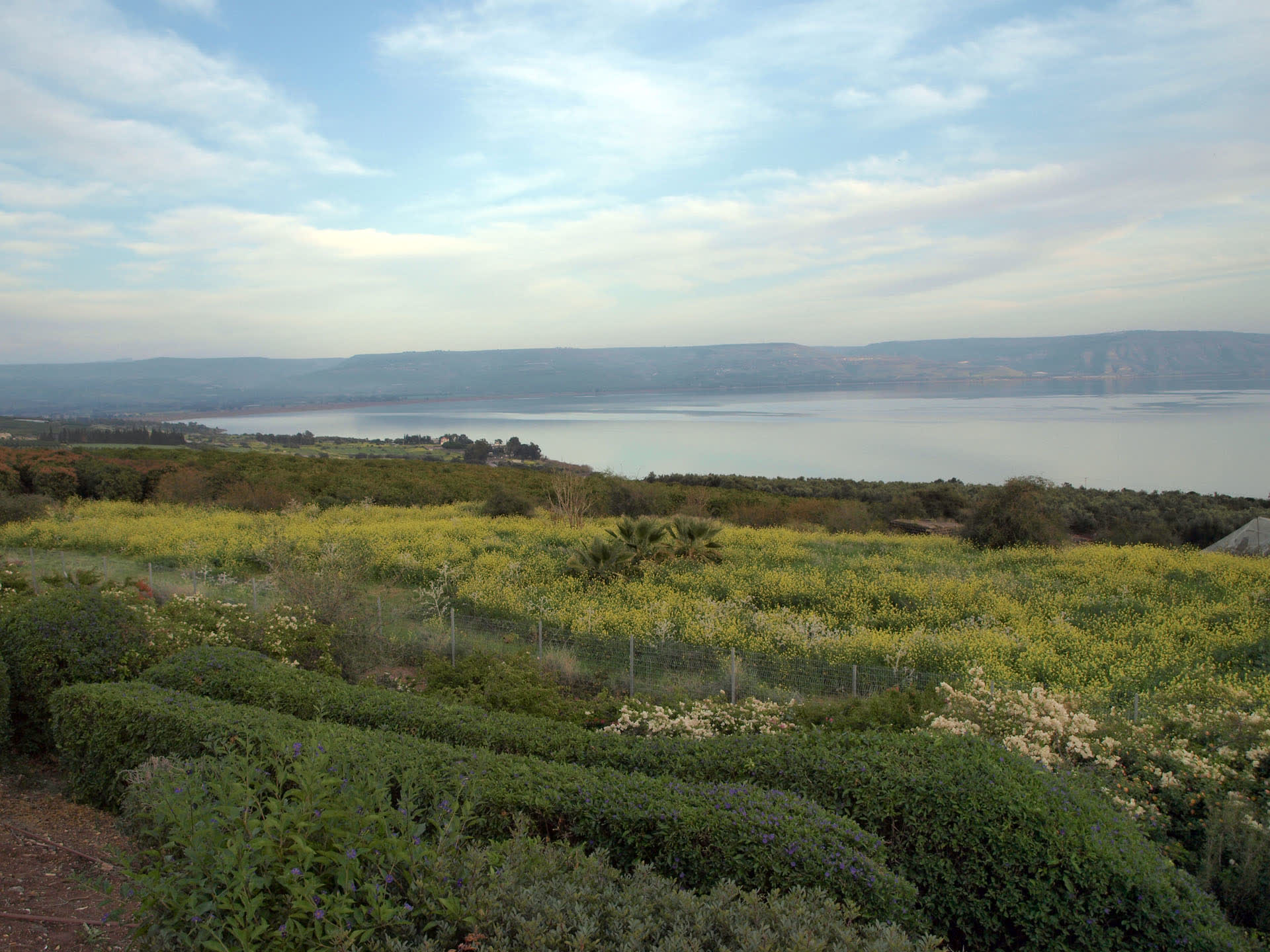 The slopes of the Mount of Beatitudes above the Sea of Galilee